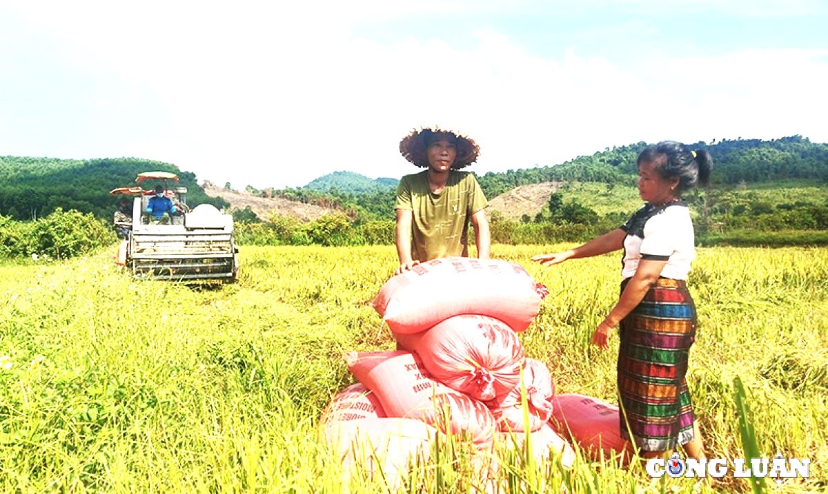 Nguoi Dan Xa Bien Gioi Quang Binh Sat Son Niem Tin Voi Dang Hinh 3