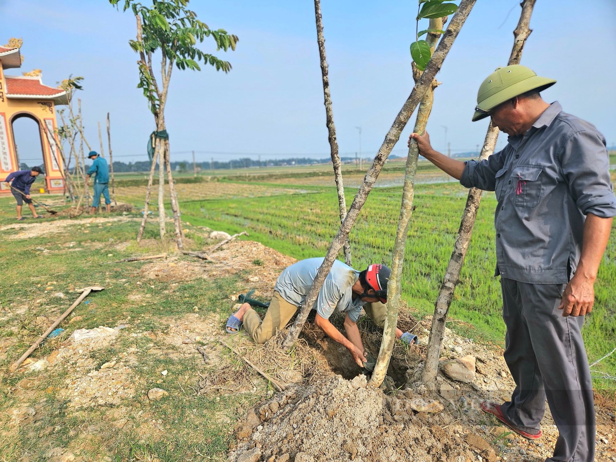 Quảng Bình: Đường Cây Xanh Ở Nơi Này Khiến Nông Thôn Mới Đẹp Như Phim - Ảnh 6.