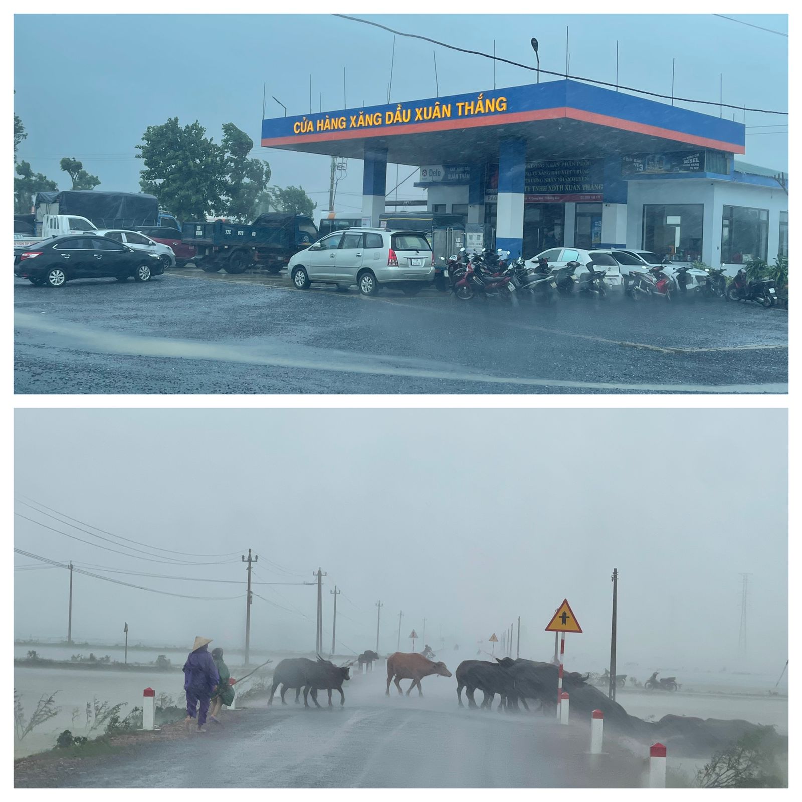 Anh Huong Bao Trami Quang Binh Lu Lon Tren Dien