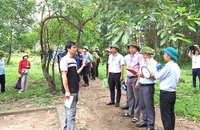 Ho Dan Quang Binh Tu Nguyen Di Doi Truoc Cuong.webp