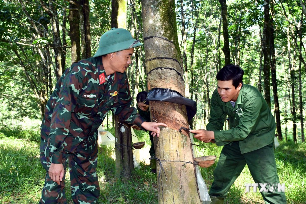 Vna_Potal_Xay_Dung_Vung_Chac_“The_Tran_Long_Dan”_Noi_Bien_Gioi_Quang_Binh__7698057.Jpg