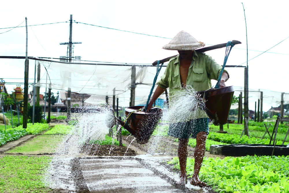 Đây Là Ngôi Làng Thứ 3 Của Việt Nam Được Công Nhận Là Làng Du Lịch Tốt Nhất Thế Giới. Ảnh: Th